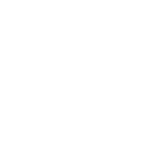 Finance Cost Optimization